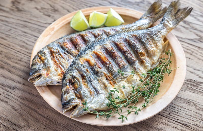 Grilled Dorade Royale Fish royalty free stock image Grilled Dorade Royale Fish royalty free stock image