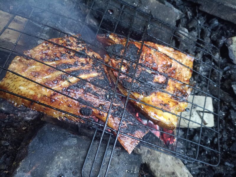 Grilled fish barramundi stock photo. Image of meal, dish 241164644