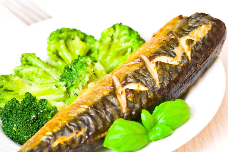 Grilled fish with broccoli stock image. Image of fillet 33282283