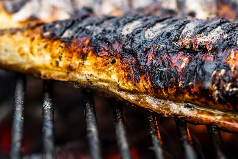 Grilled Fish on Charcoal Grill. Fresh Fish Barbecue Stock Image Image