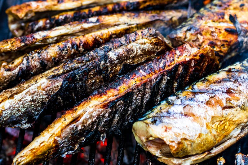 Grilled Fish on Charcoal Grill. Fresh Fish Barbecue Stock Photo Image
