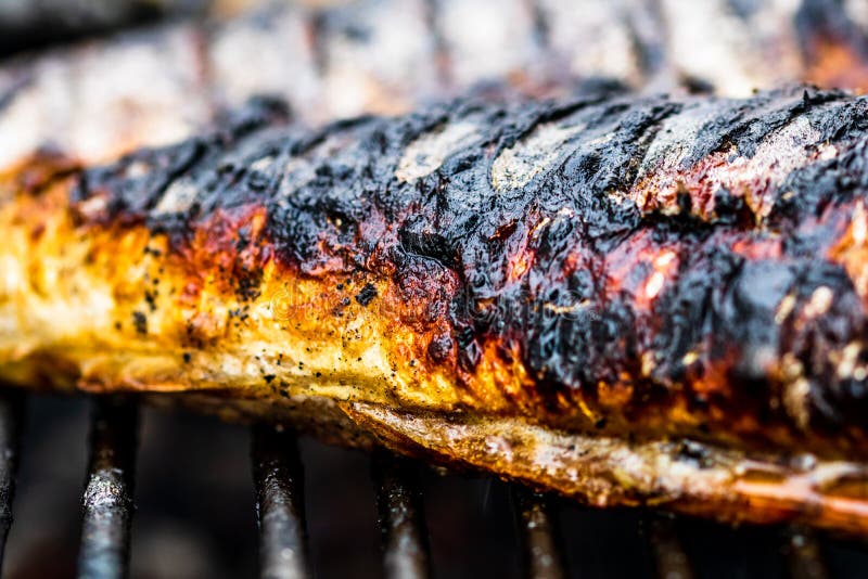 Grilled Fish on Charcoal Grill. Fresh Fish Barbecue Stock Image Image