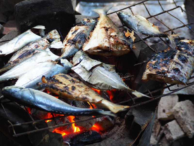 Grilled Saefood Stock Photos Free & RoyaltyFree Stock Photos from