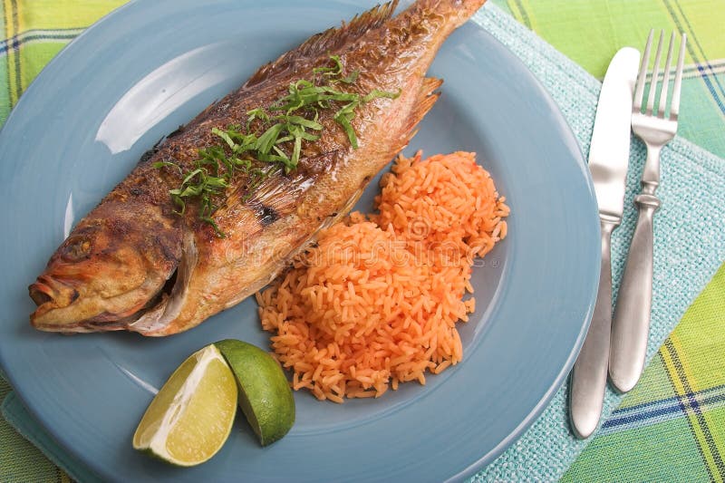 Grilled fish dinner stock image. Image of fisher, restaurant - 1098503