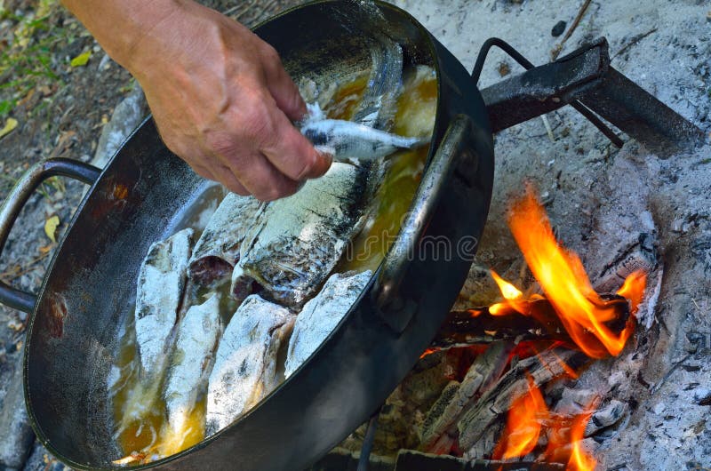 Grilled fish on the fire stock photo. Image of meal, roasted 58041860