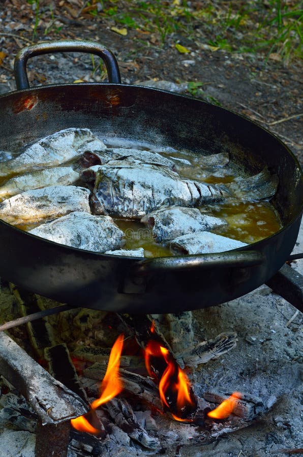 Grilled fish on the fire stock photo. Image of meal, roasted 58041860