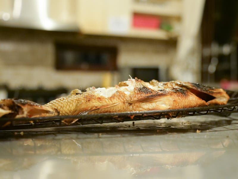 Grilled Fish Grilled in a Restaurant Stock Photo Image of dinner