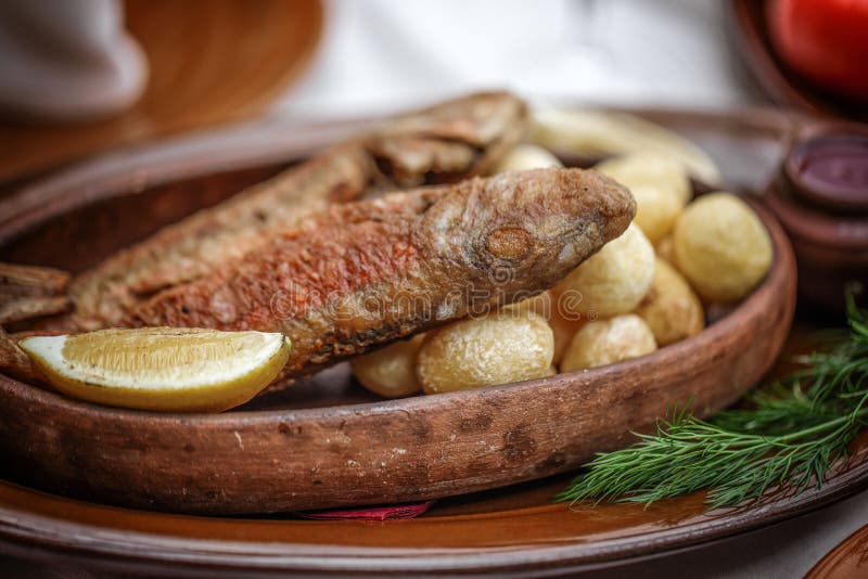 Grilled Fish with Roasted Potatoes in Stoneware Dish. Stock Image