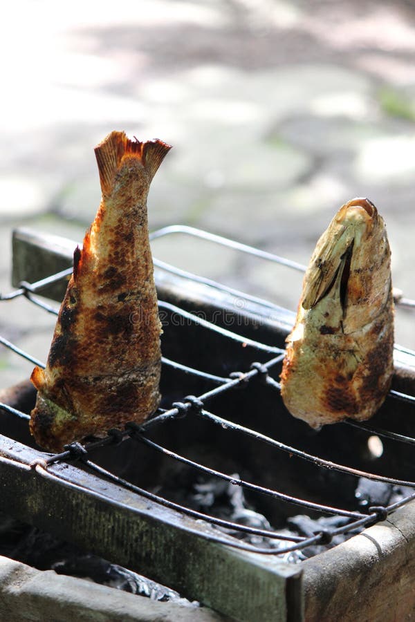 Grilled fish on the stove stock photo. Image of seafood 268431044
