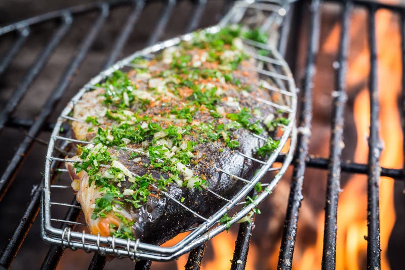 Cooking Fish Over Open Fire Stock Photo Image of bass, freshwater