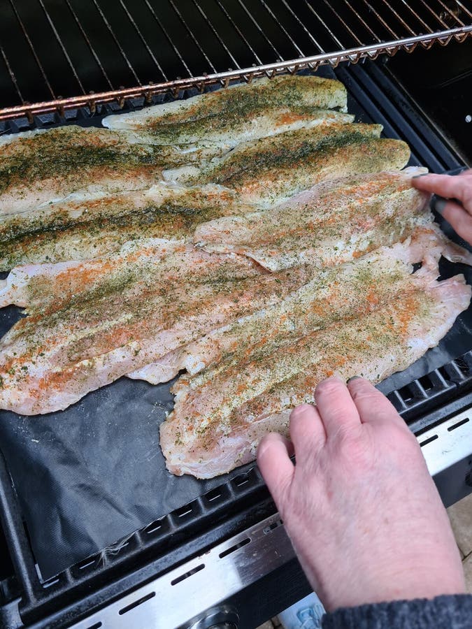 Grilled Fish with Spices on Fire Stock Image Image of picnic, efrac12