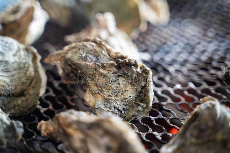 Grilled Fresh Oyster in Taiwan Famous Street Food Stock Photo Image Grilled Fresh Oyster in Taiwan Famous Street Food Stock Photo Image