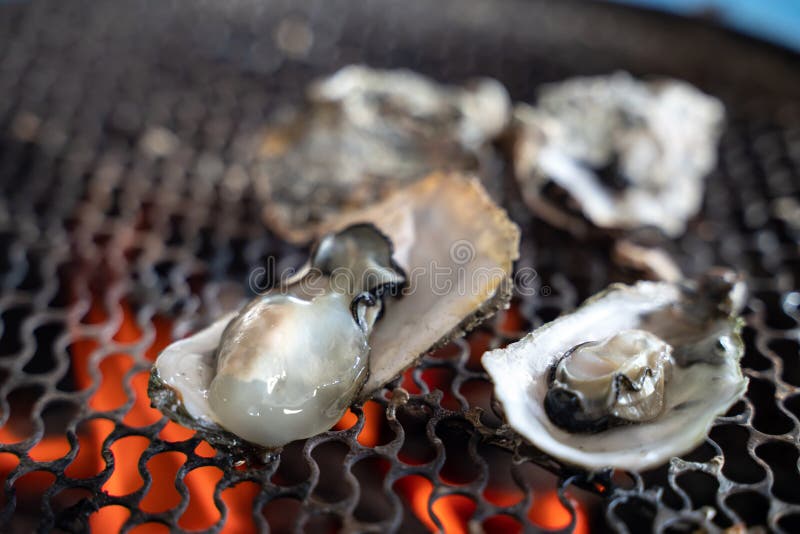 Grilled Fresh Oyster in Taiwan Famous Street Food Stock Image Image Grilled Fresh Oyster in Taiwan Famous Street Food Stock Image Image