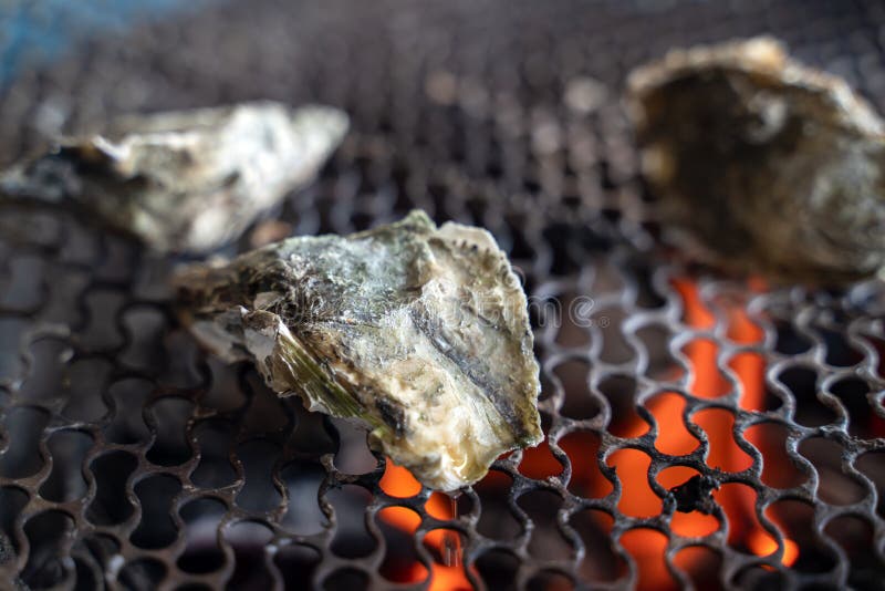 Grilled Fresh Oyster in Taiwan Famous Street Food Stock Photo Image Grilled Fresh Oyster in Taiwan Famous Street Food Stock Photo Image
