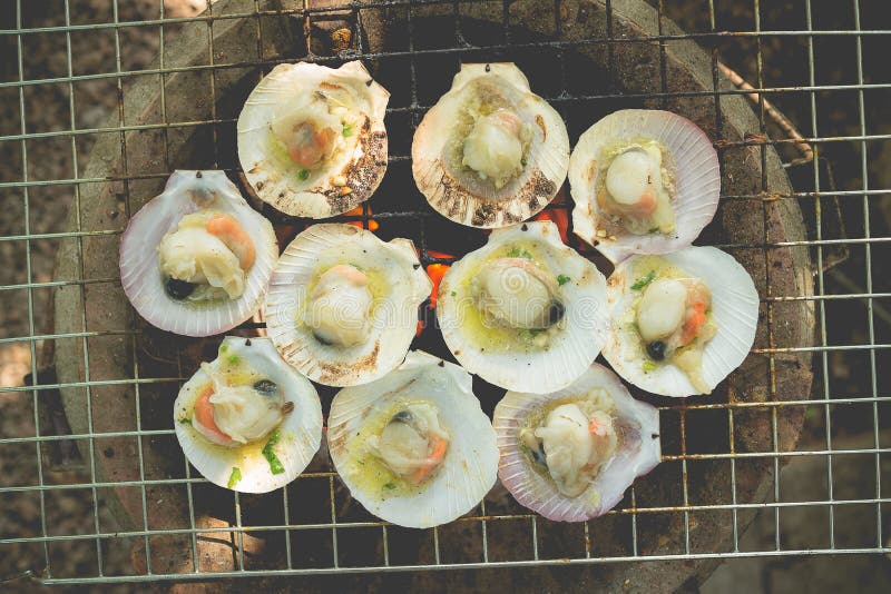 Grilled fresh scallops stock photo. Image of grilling 48558736