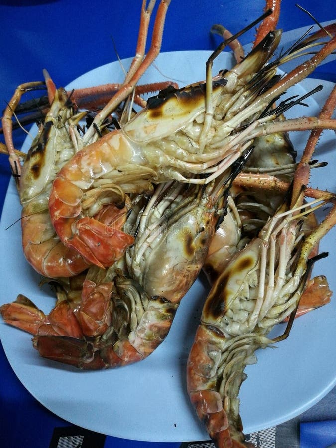 Grilled giant river prawns stock photo. Image of healthy - 84990854