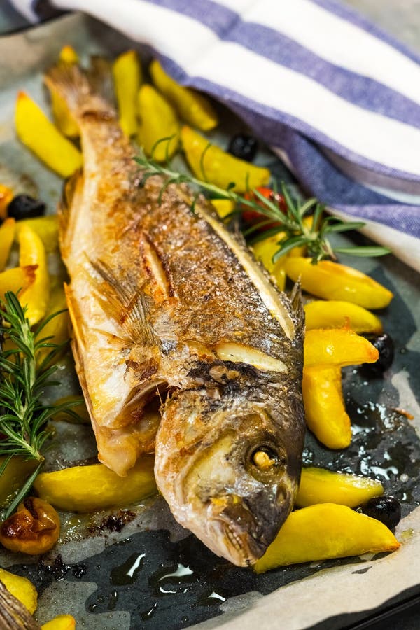 Grilled gilt-head bream stock photo. Image of healthy - 110979852