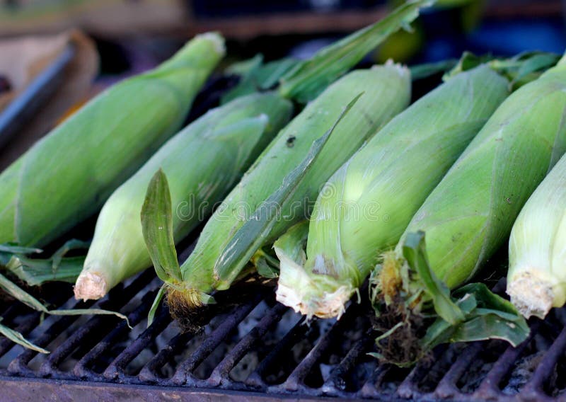 Grilled Green Maize Corncobs for Sale on the Street. Stock Image