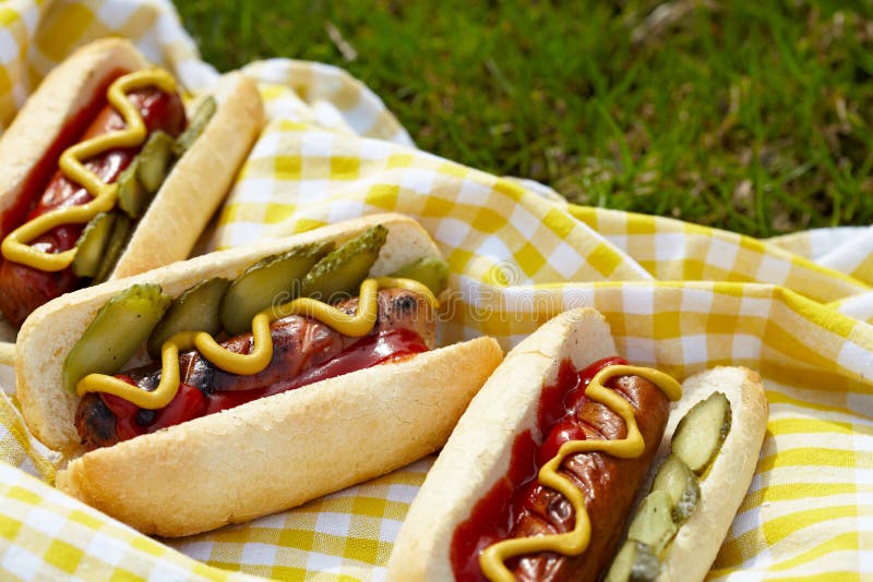 Grilled hot dogs with mustard, ketchup and relish