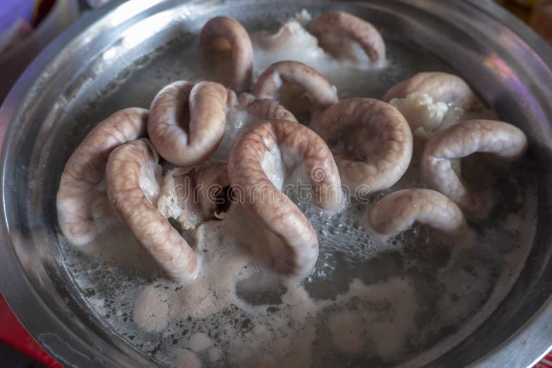Intestine Pork On The Grill Stock Photo Image of food, tasty 144651706
