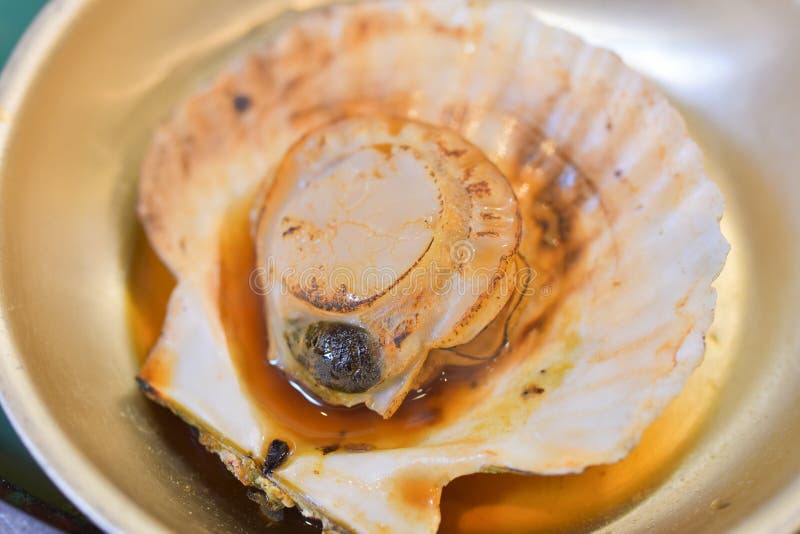 Grilled japanese scallop stock photo. Image of cook, dinner 80008638