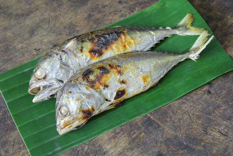 Grilled mackerel stock photo. Image of barbecue, restaurant 76950480