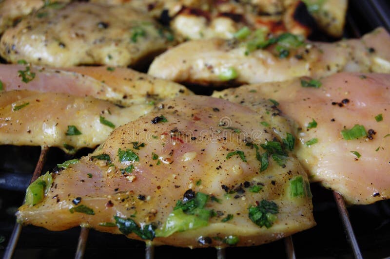 Grilled meat stock image. Image of coal, hamburger, protein 43212113