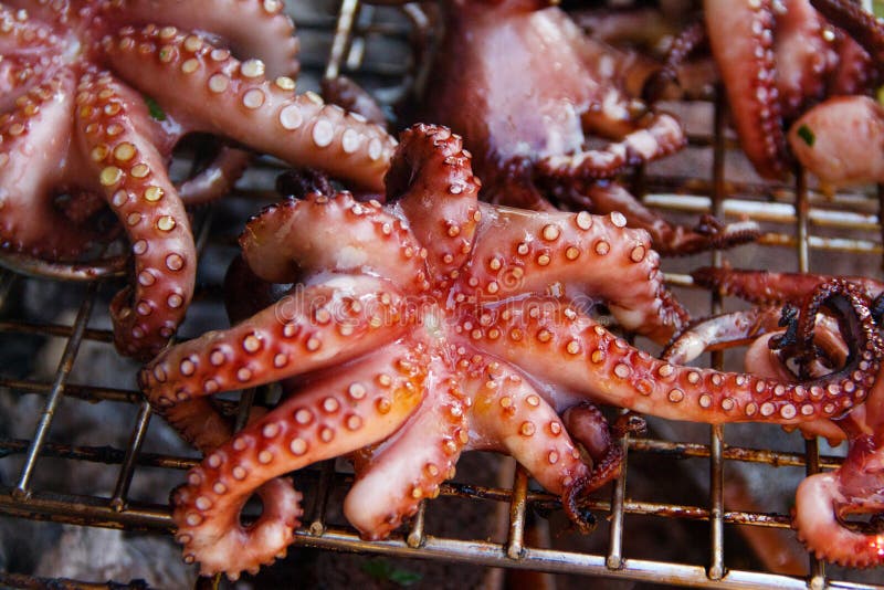 Grilled Octopuses. Making Grilled See Food. Stock Image Image of