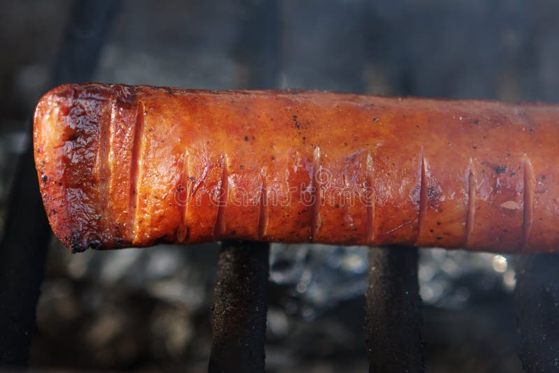 Grilled Polish Sausage stock photo. Image of prepared 52816550