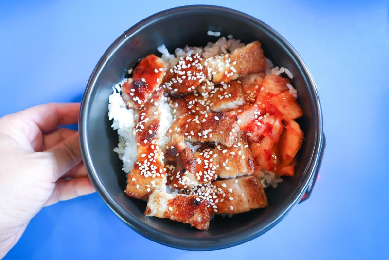 Grilled Pork with Sesame , Pork and Rice or Korean Grilled Pork and