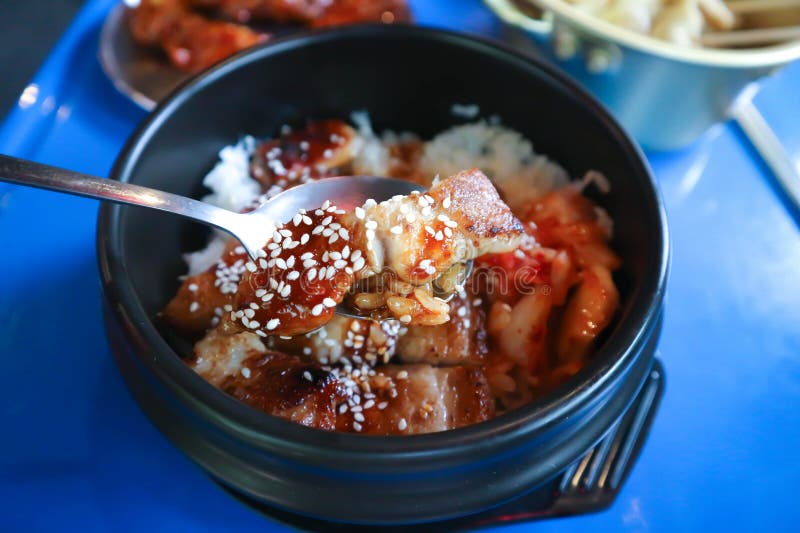 Grilled Pork with Sesame , Pork and Rice or Korean Grilled Pork and