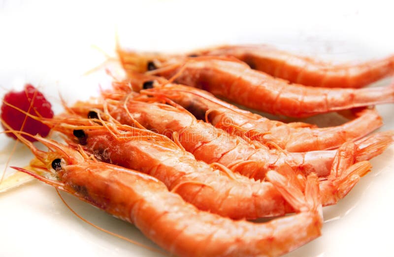 Grilled prawns