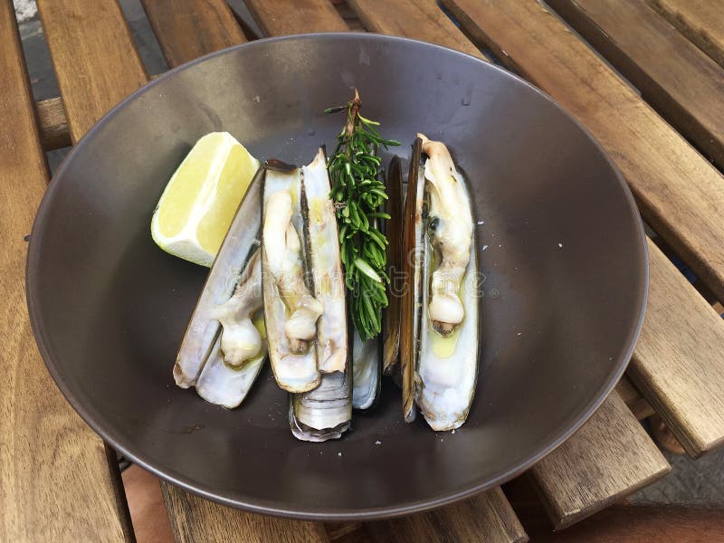 Grilled Razor Clams on the Grill Stock Image Image of cook, gourmet