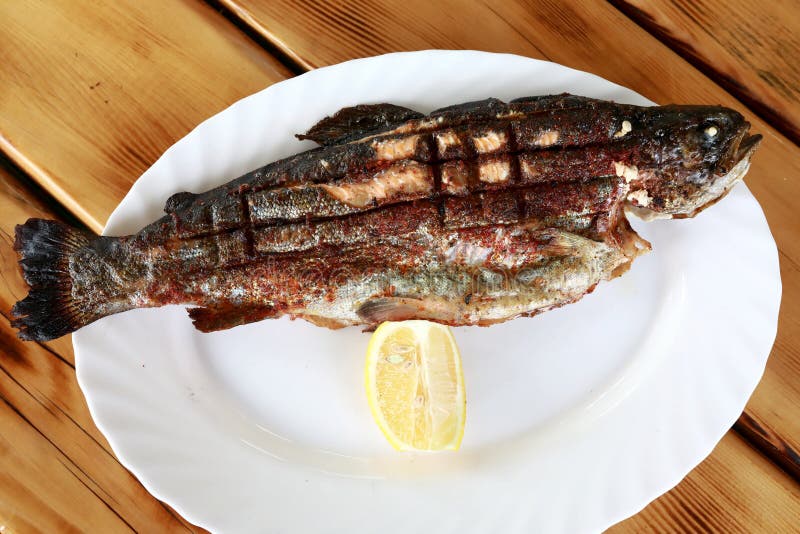 Grilled River Trout on Plate Stock Image Image of natural, appetizing
