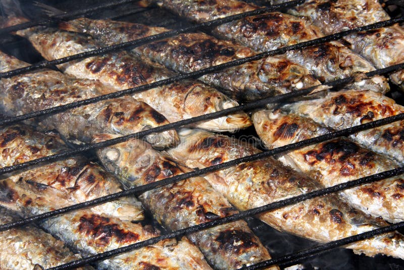 Grilled sardines stock photo. Image of grilling, baked 9883026
