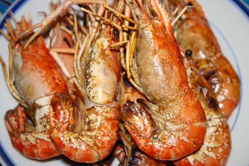 Grilled Shrimp and Seafood Sauce. Stock Photo Image of dish, food