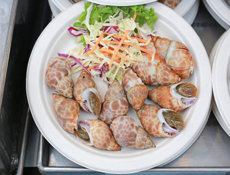Grilled Spiral babylon snail on plate ready to eat. The famous thai street seafood royalty free stock photo Grilled Spiral babylon snail on plate ready to eat. The famous thai street seafood royalty free stock photo