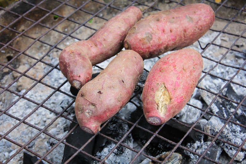 Grilled Sweet Potato on Charcoal Grill Stock Photo Image of light