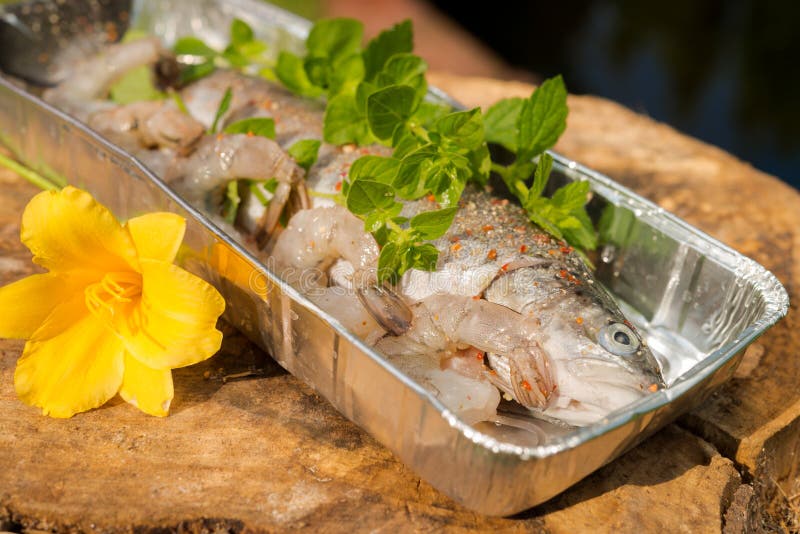 Grilled trout stock image. Image of fish, campfire, direct 32247313