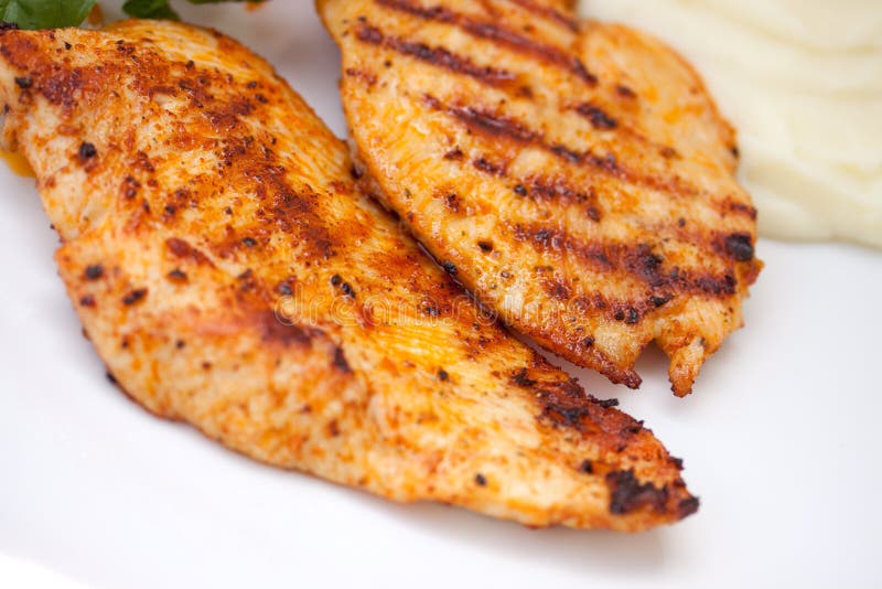 Grilled turkey breast. close up