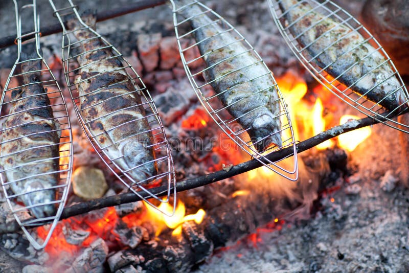 Cooking Fish Over Open Fire Stock Photo Image of bass, freshwater
