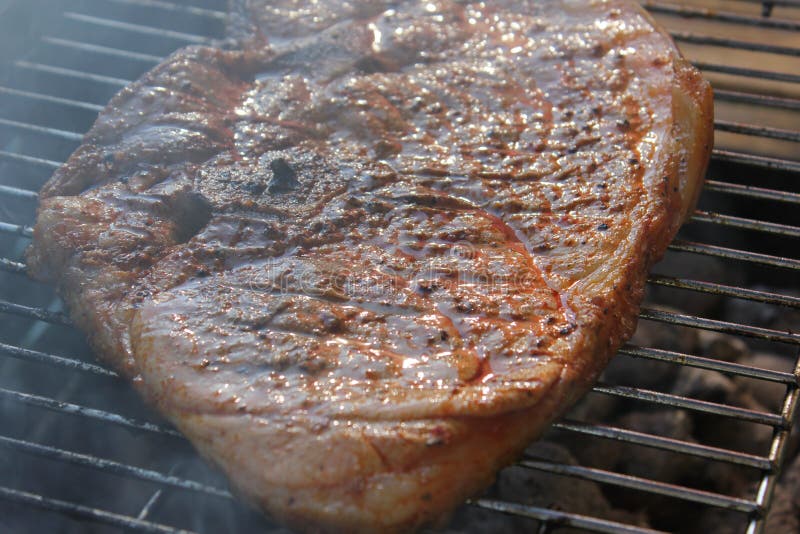 Grilling meat in summer stock photo. Image of food, grilling 89667874