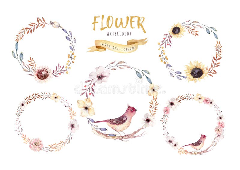 Grinalda floral da flor do boho da aquarela Quadro natural do Watercolour: folhas, pena e pássaros Isolado no fundo branco ilustração do vetor Grinalda floral da flor do boho da aquarela Quadro natural do Watercolour: folhas, pena e pássaros Isolado no fundo branco ilustração do vetor
