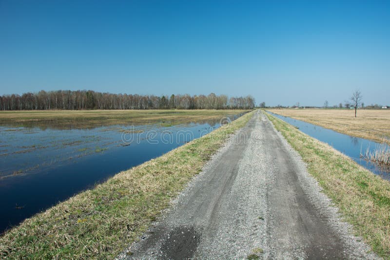Grintweg door overstroomde gebieden, horizon en hemel stock fotografie Grintweg door overstroomde gebieden, horizon en hemel stock fotografie