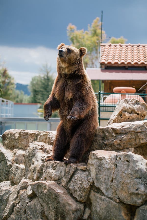 safari italy zoo