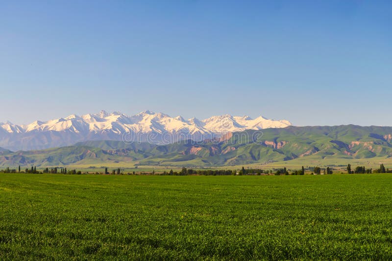 Gro?e Berge Frische gr?ne Wiesen bei Sonnenaufgang im Fr?hjahr, Berge beleuchteten durch das aufgehende Sonne lizenzfreies stockfoto Gro?e Berge Frische gr?ne Wiesen bei Sonnenaufgang im Fr?hjahr, Berge beleuchteten durch das aufgehende Sonne lizenzfreies stockfoto