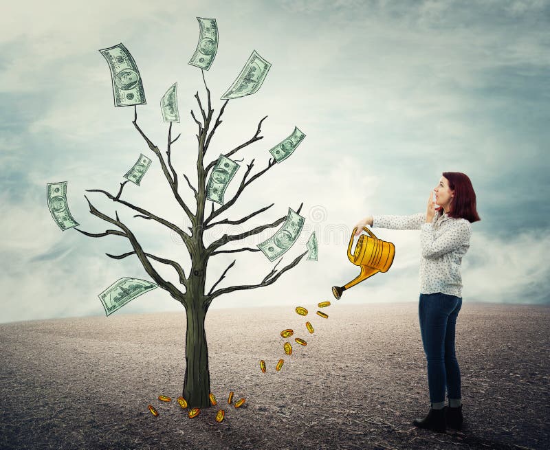 Geldboom groeit royalty-vrije stock afbeeldingen