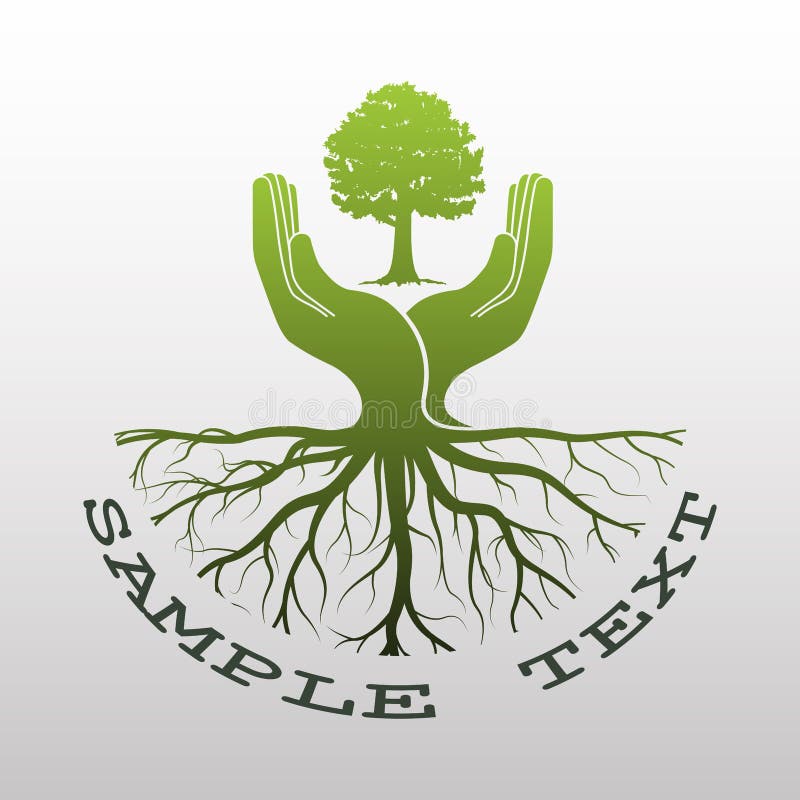 Groen boomembleem royalty-vrije illustratie Groen boomembleem royalty-vrije illustratie
