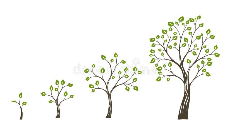 Groen ecoconcept van de boomgroei De cyclus van het boomleven vector illustratie Groen ecoconcept van de boomgroei De cyclus van het boomleven vector illustratie