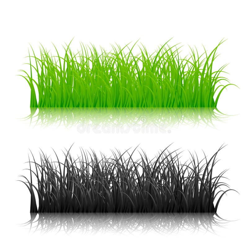 Groen en zwart die silhouetgras op witte achtergrond wordt geïsoleerd Vector illustratie royalty-vrije illustratie Groen en zwart die silhouetgras op witte achtergrond wordt geïsoleerd Vector illustratie royalty-vrije illustratie